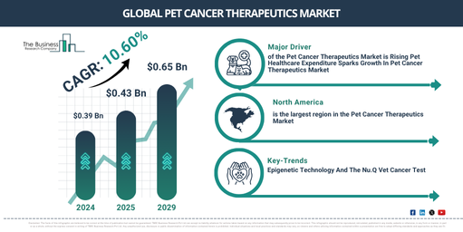 Global Pet Cancer Therapeutics Market Report Infographic