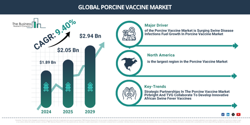 Global Porcine Vaccine Market Report Infographic