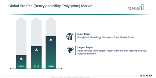 Global Pre-Pen (Benzylpenicilloyl Polylysine) Market Report Infographic