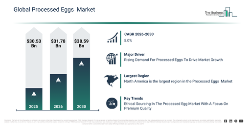 Global Processed Eggs  Market Report Infographic