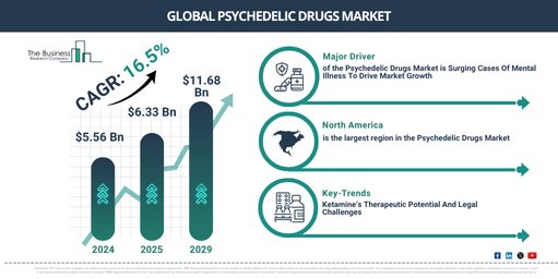 Global Psychedelic Drugs Market Report Infographic