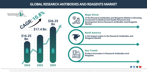 Global Research Antibodies and Reagents Market Report Infographic