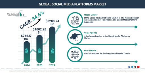 Global Social Media Platforms Market Report Infographic