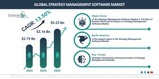 Global Strategy Management Software Market Report Infographic