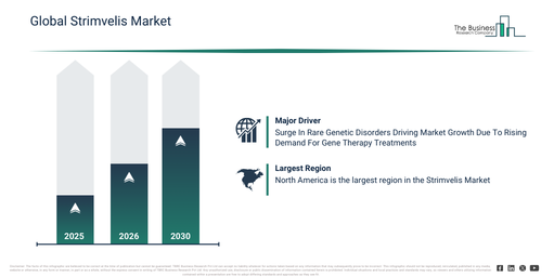 Global Strimvelis Market Report Infographic