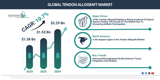 Global Tendon Allograft Market Infographic