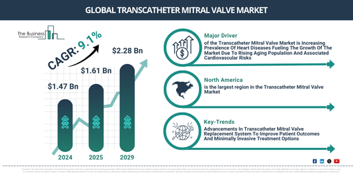 Global Transcatheter Mitral Valve Market Infographic