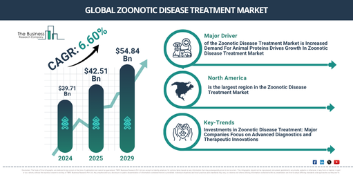 Global Zoonotic Disease Treatment Market Report Infographic