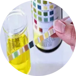 Case Study