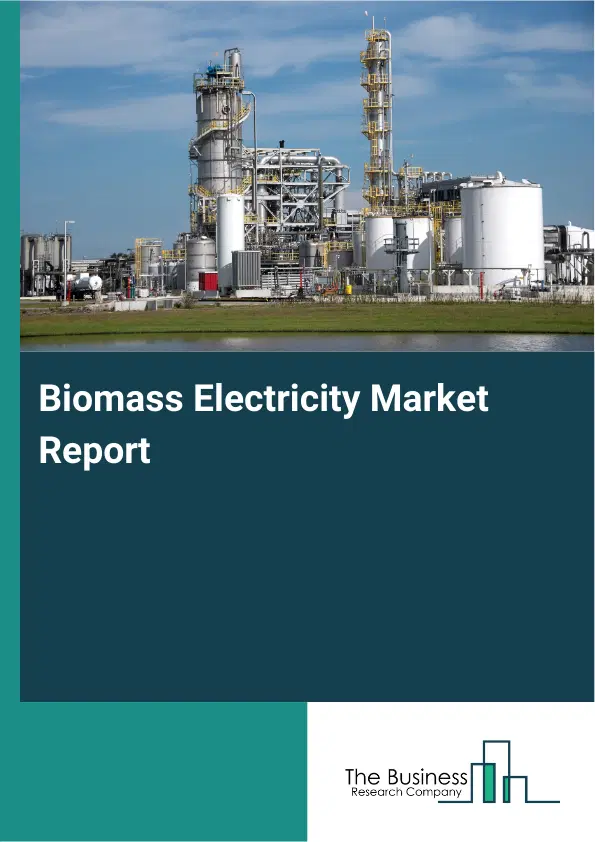 Global Biomass Electricity Market Report 2026