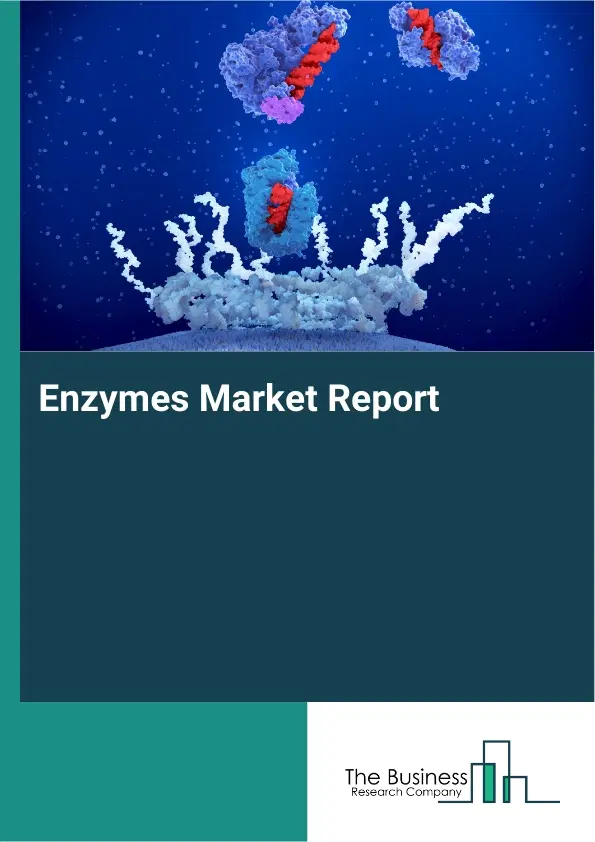 Global Enzymes Market Report 2026