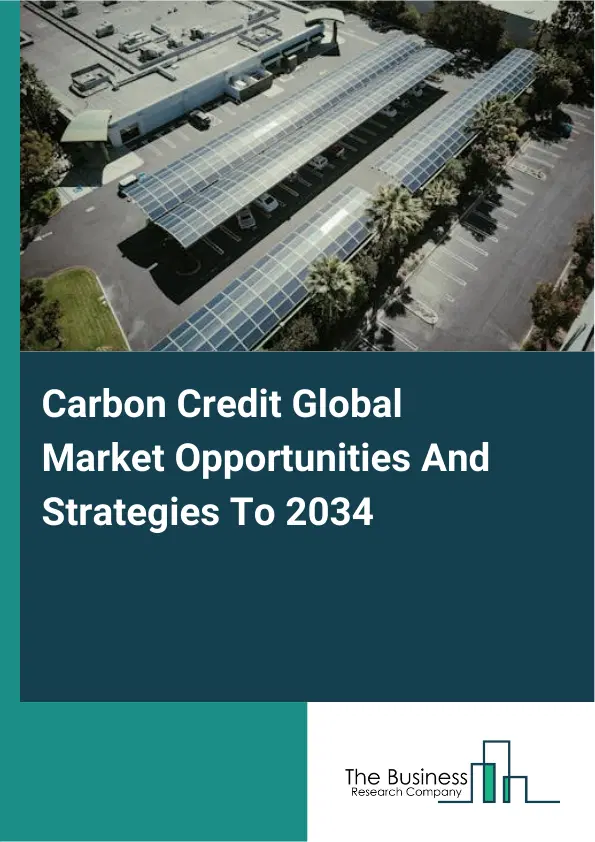 Carbon Credit Market 2025