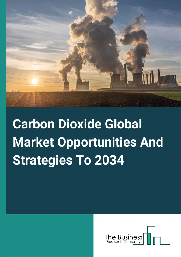 Carbon Dioxide Market 2025