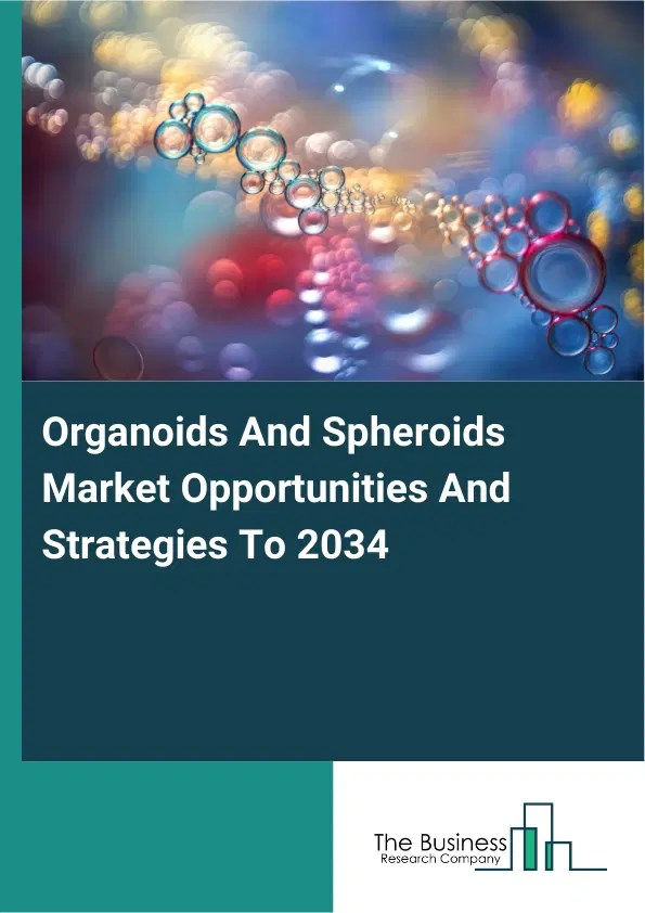 Organoids And Spheroids Market 2026