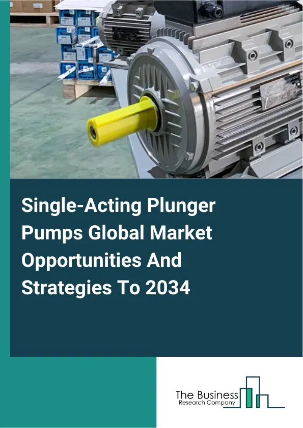 Single Acting Plunger Pumps Market 2025