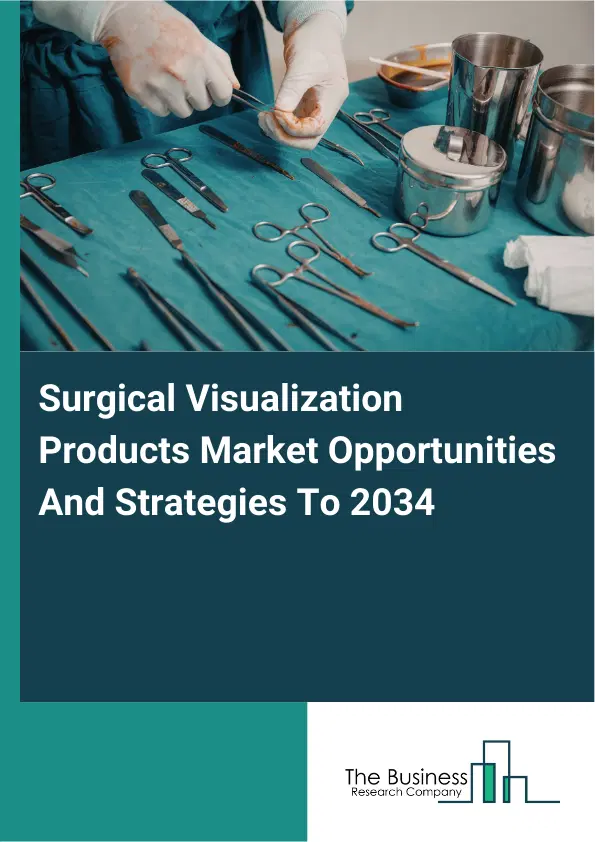 Surgical Visualization Products Market 2026