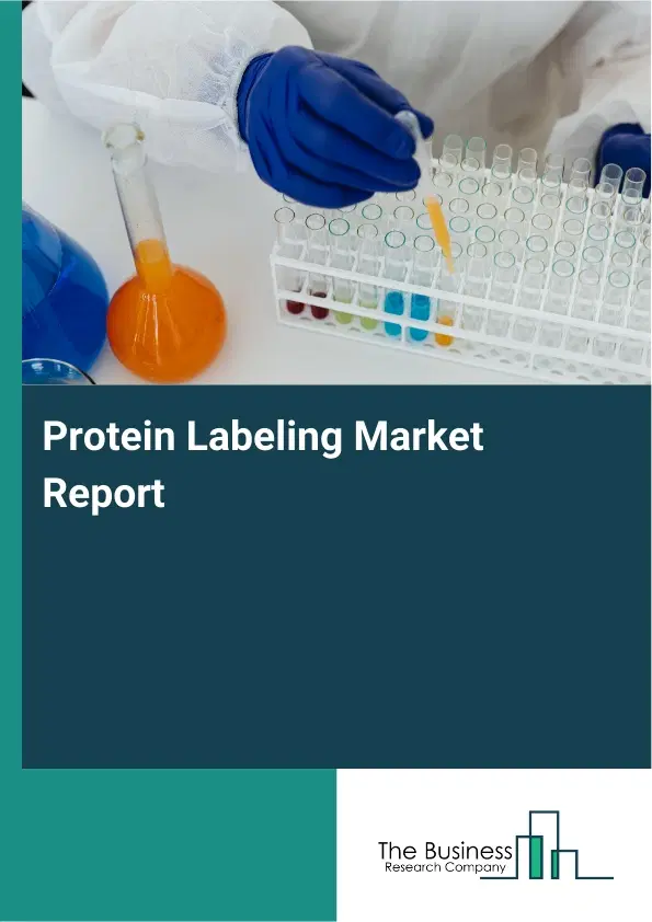 Global Protein Labeling Market Report 2026