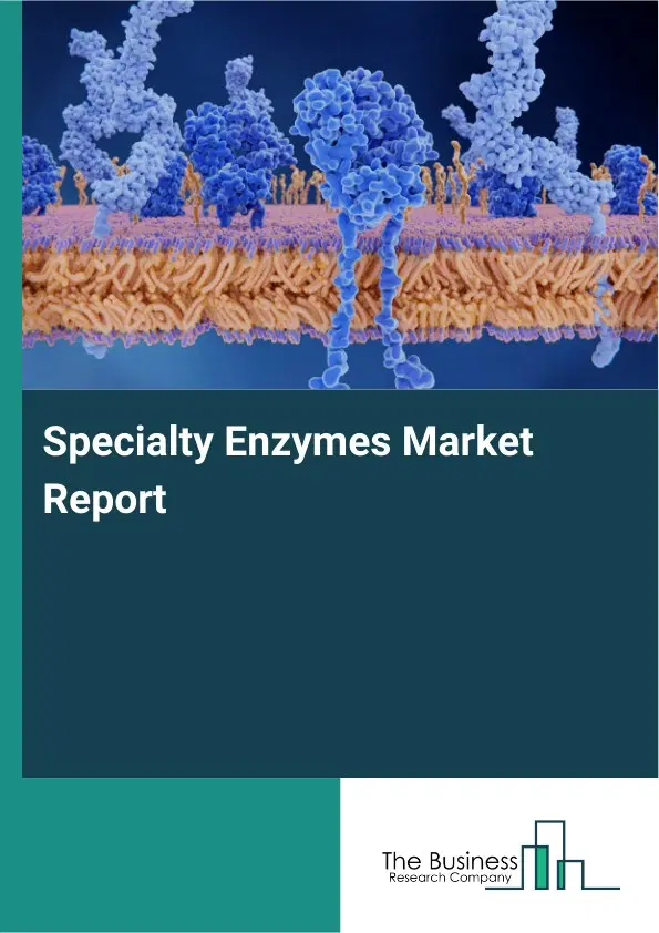 Global Specialty Enzymes Market Report 2026