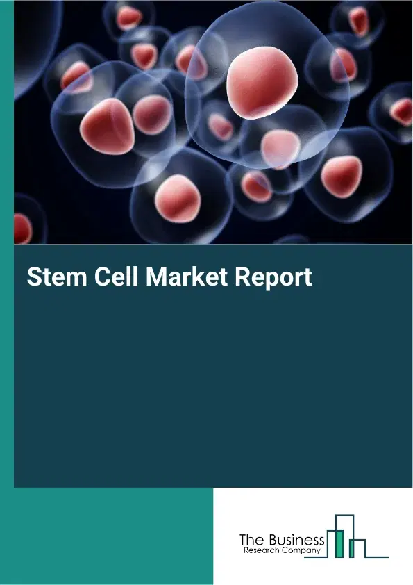 Global Stem Cell Market Report 2026