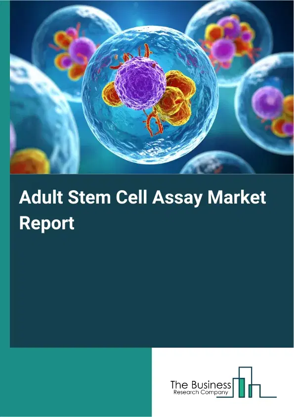 Global Adult Stem Cell Assay Market Report 2026