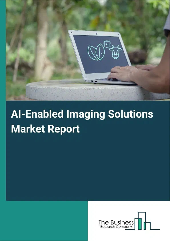 Global AI-Enabled Imaging Solutions Market Report 2026