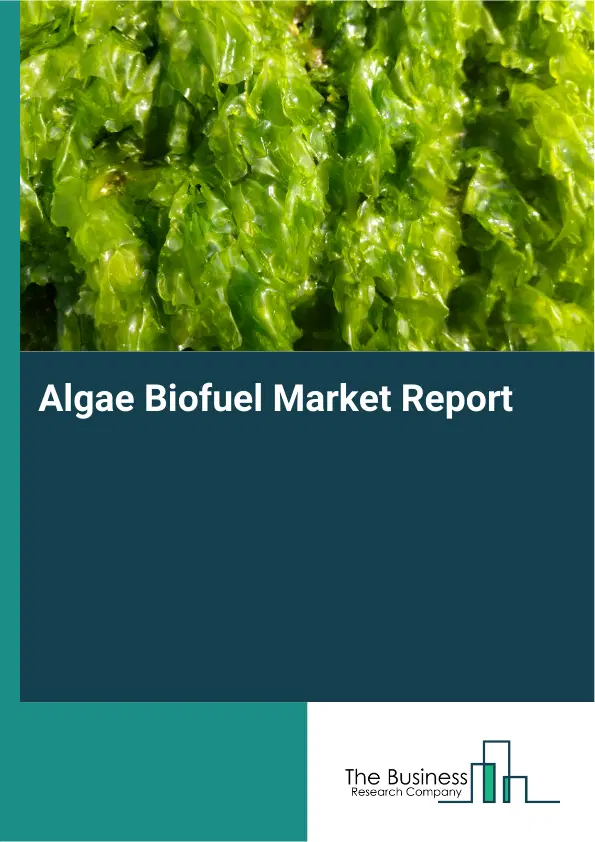 Global Algae Biofuel Market Report 2026