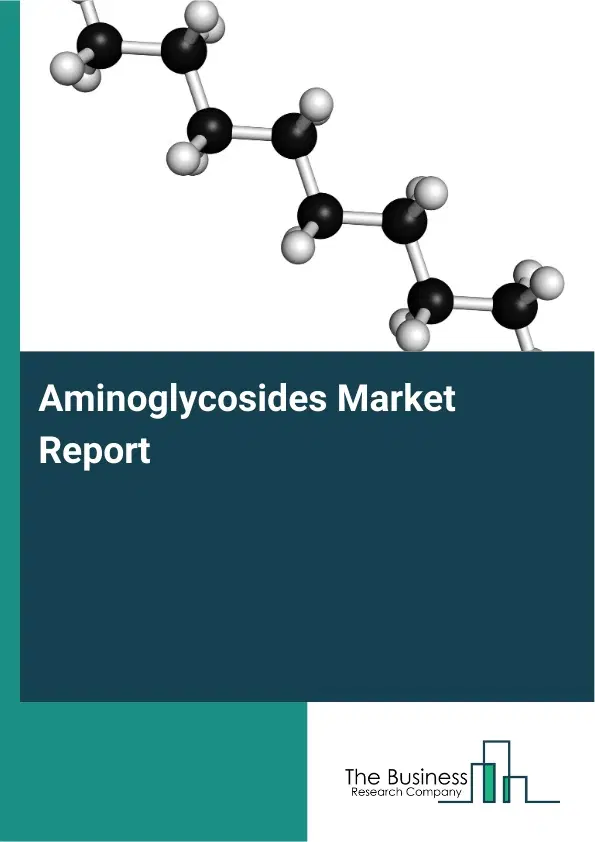 Global Aminoglycosides Market Report 2026