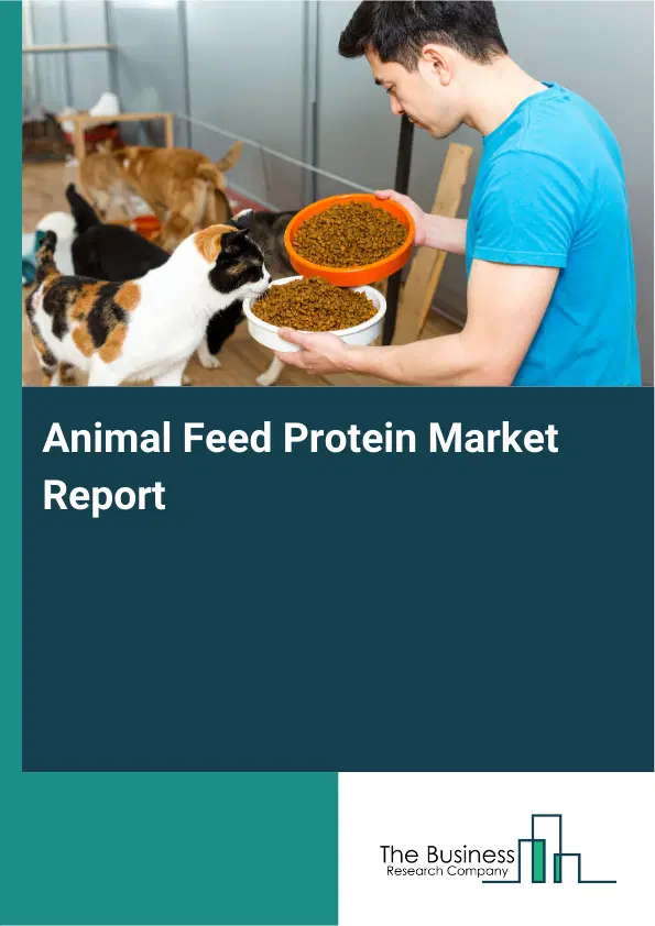 Global Animal Feed Protein Market Report 2026