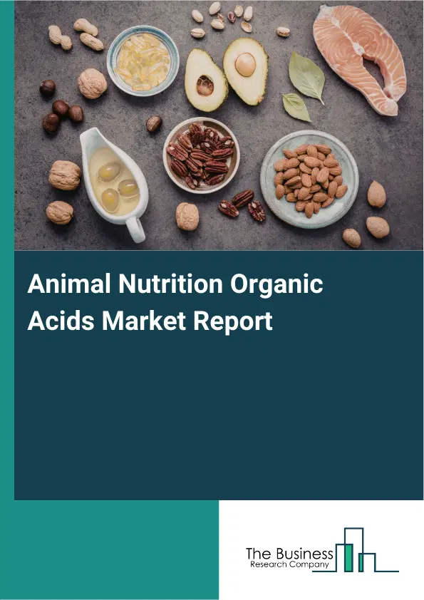 Global Animal Nutrition Organic Acids Market Report 2026