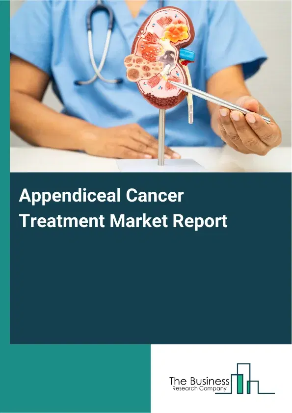 Global Appendiceal Cancer Treatment Market Report 2026