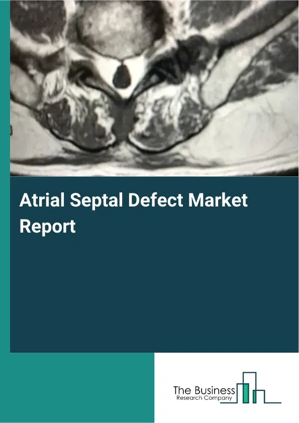Global Atrial Septal Defect Market Report 2026