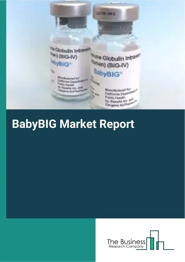 Global BabyBIG Market Report 2026