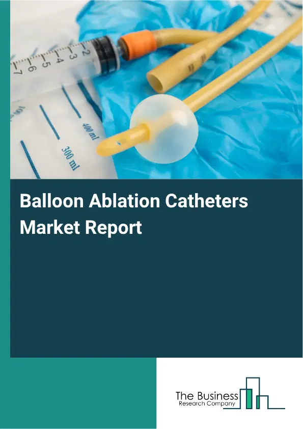 Balloon Ablation Catheters Market Report 2026