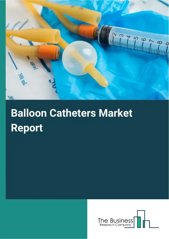 Global Balloon Catheters Market Report 2026