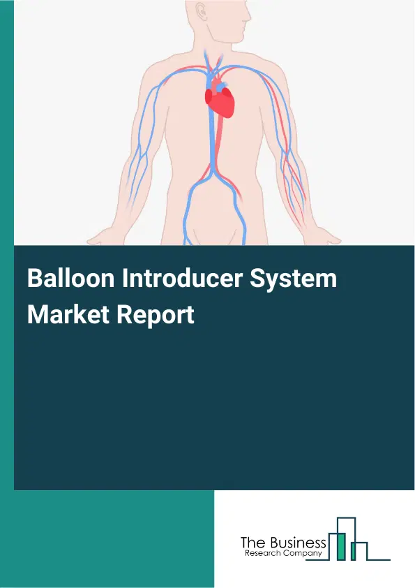 Global Balloon Introducer System Market Report 2026