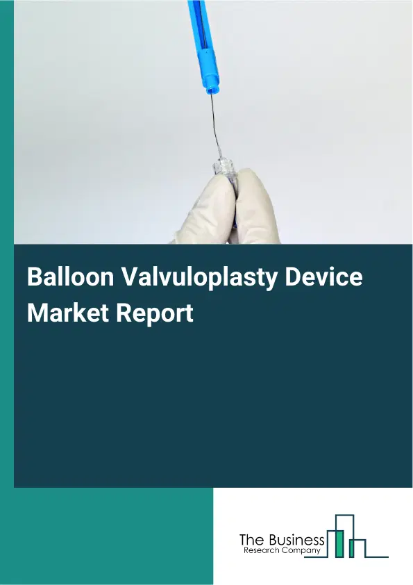 Global Balloon Valvuloplasty Device Market Report 2026