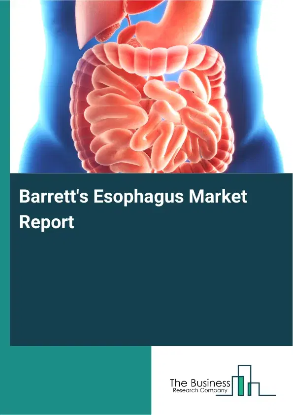 Global Barrett's Esophagus Market Report 2026