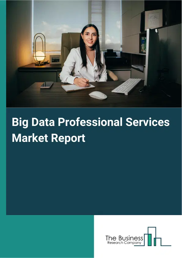 Global Big Data Professional Services Market Report 2026