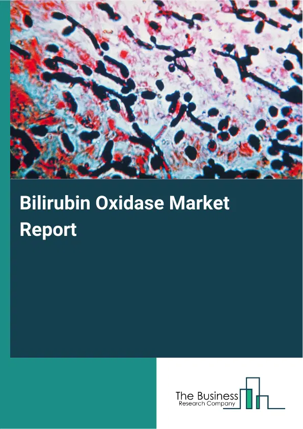 Global Bilirubin Oxidase Market Report 2026