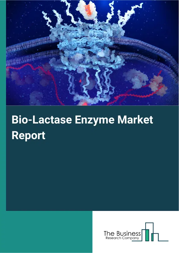 Global Bio-Lactase Enzyme Market Report 2026