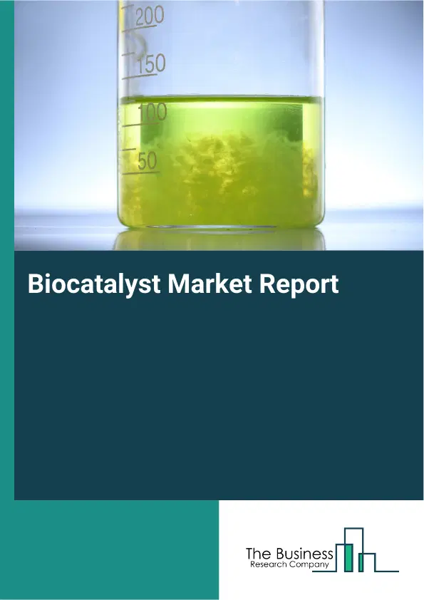 Global Biocatalyst Market Report 2026