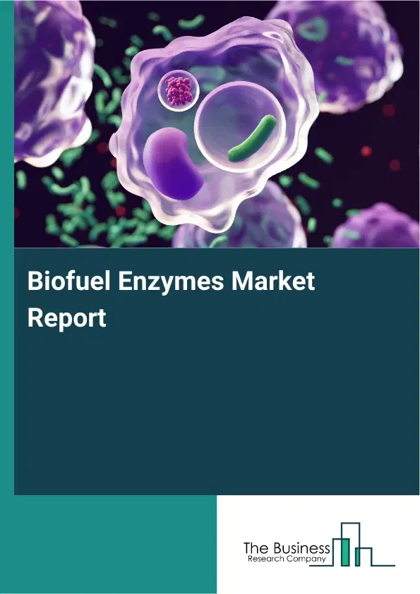 Global Biofuel Enzymes Market Report 2026