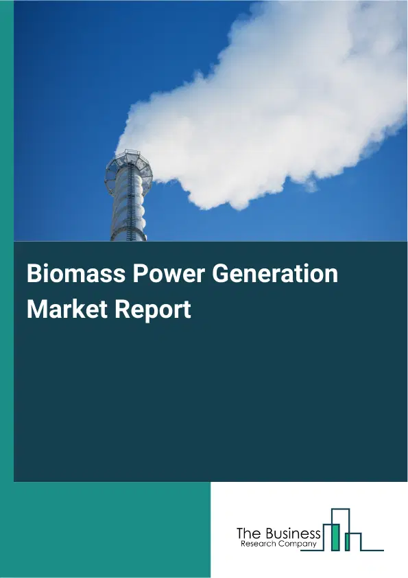 Global Biomass Power Generation Market Report 2026