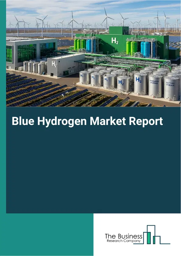 Global Blue Hydrogen Market Report 2026