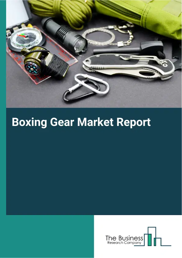 Global Boxing Gear Market Report 2026