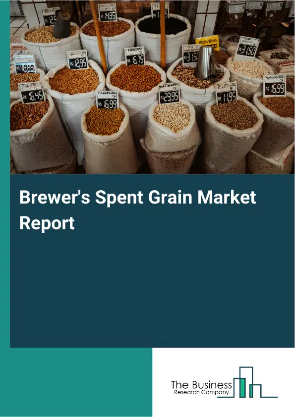Global Brewer's Spent Grain Market Report 2026