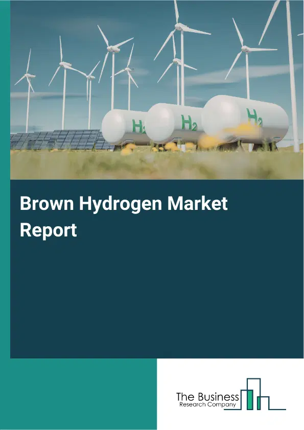 Global Brown Hydrogen Market Report 2026