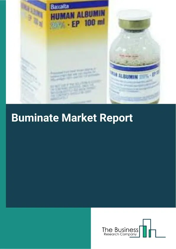 Global Buminate Market Report 2026