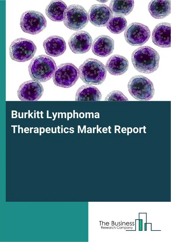 Global Burkitt Lymphoma Therapeutics Market Report 2026