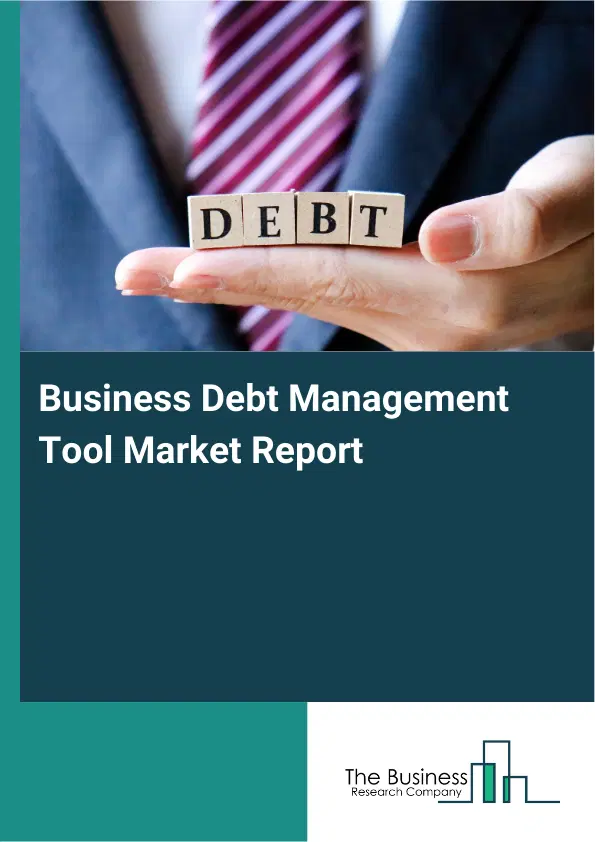Global Business Debt Management Tool Market Report 2026